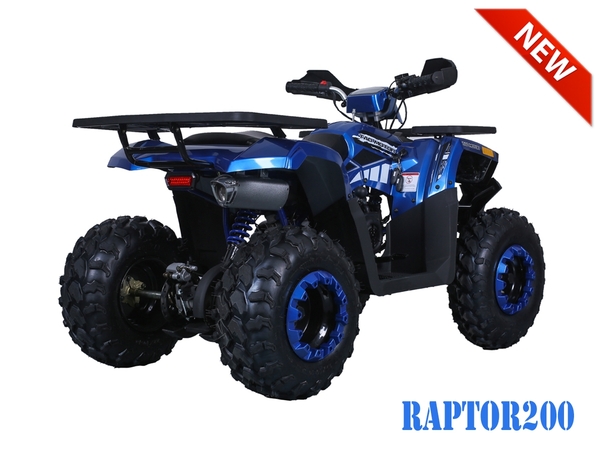 Tao Motor RAPTOR200 ATV - Auto/Reverse On Sale - Hawaii Powersports